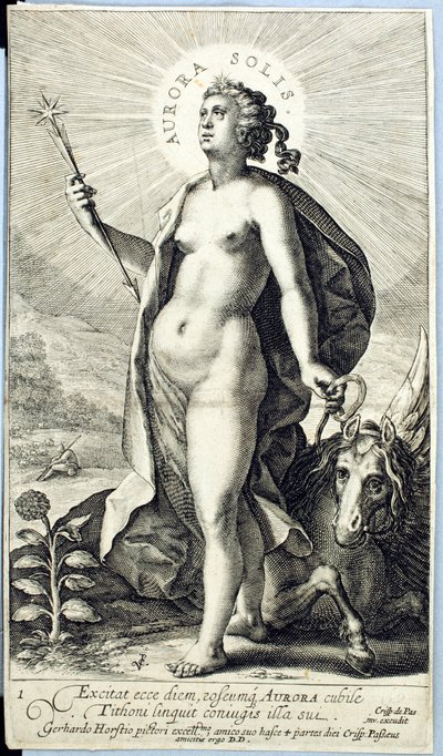 极光 作者 克里斯平轭